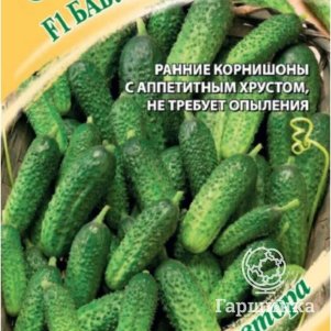 Огурец Бабушкин внучок F1 10 шт. корнишон ЦП Семена Гавриш