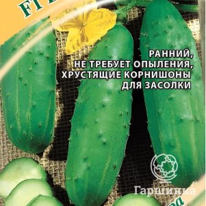 Огурец Вояж F1 10 шт корнишон ЦП Семена Гавриш 59₽