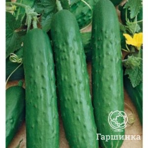 

Огурец Зозуля F1 10 шт. ЦП Семена Гавриш