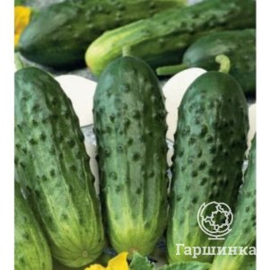 

Огурец Конкурент 0,5 г ЦП Семена Гавриш