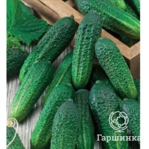 

Огурец Либелле F1 0,5 г ЦП Семена Гавриш