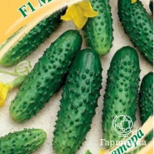 

Огурец Мурашка F1 10 шт. корнишон ЦП Семена Гавриш