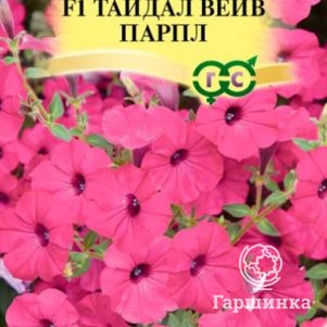 Петуния Парпл F1 (Минитуния) суперкаскадная (серТайдал Вейв)  4 шт. гранулы, Семена Гавриш