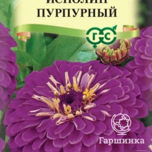 

Цинния Исполин пурпурный 0,3 г ЦП, Семена Гавриш