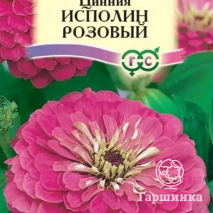 Цинния Исполин розовый 0,3 г (серия Розовые сны) ЦП, Семена Гавриш