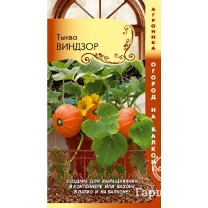 Тыква Виндзор 3 шт Плазменные семена 97₽
