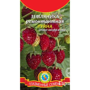 Земляника Руяна ремонтантная 004 г Плазменные семена 30₽
