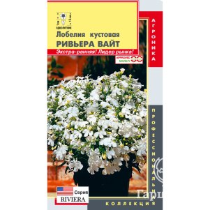 Лобелия Ривьера Вайт кустовая (серия Ривьера) 8 мультидрж в пробирке, Плазменные семена