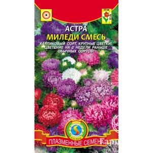 Астра Миледи смесь 0,2 г, Плазменные семена