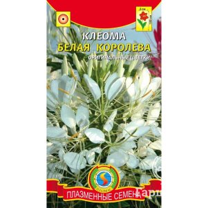 Клеома Белая Королева 02г Плазменные семена 29₽