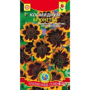 Космидиум Брюнетка 30 шт Плазменные семена 26₽
