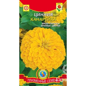 Цинния Канарейка 0,3 г, Плазменные семена