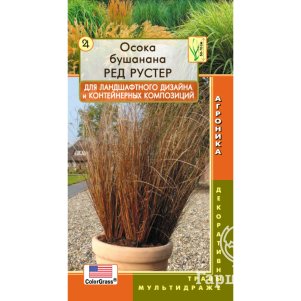Осока Ред Рустер Бушанана 3 мультидрж в пробирке, Плазменные семена