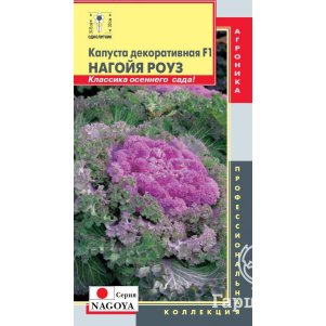 Декоративная капуста Нагойя Роуз F1 (серия Nagoya) 5 шт, Плазменные семена