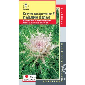 Декоративная капуста Павлин Белая F1 (серия Peacock) 5 шт, Плазменные семена