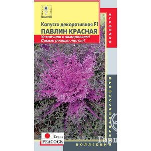 Декоративная капуста Павлин Красная F1 (серия Peacock) 5 шт, Плазменные семена