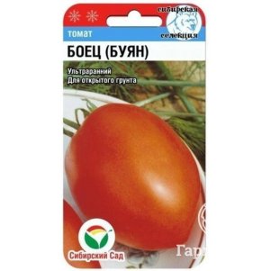 

Томат Боец (Буян) ЦП 20 штук, Семена Сибсад