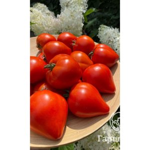 

Томат Буденовка ЦП, Семена Уральский дачник