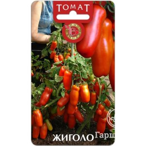 

Томат Жиголо ЦП 12 штук, Семена Биотехника