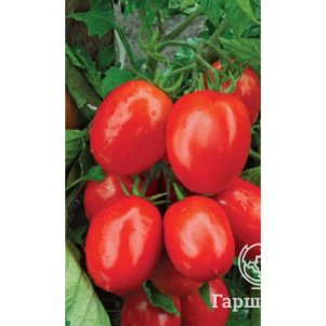 

Томат Испанский красный ЦП 0,1г (серия Уральский дачник), Семена Марс