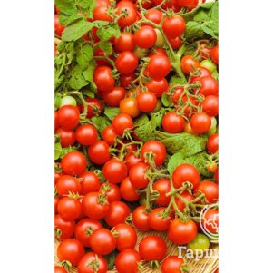 

Томат Непасынкующийся Вишневовидный ц/п (серия Уральский дачник), Семена Марс