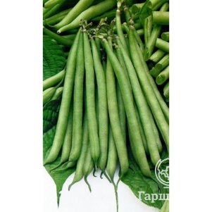 Фасоль Весеннее чудо сахарная цп Уральский дачник Семена Марс 41₽