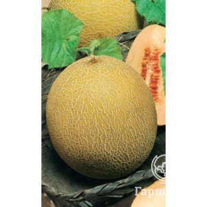 

Дыня Медовый спас ц/п 10 шт Уральский дачник, Семена Марс