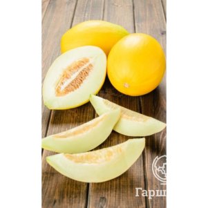 Дыня Уральский скороспел цп Уральский дачник Семена Марс 66₽