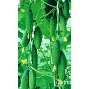 Огурец Буян F1 цп Уральский дачник Семена Марс 55₽