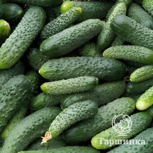 Огурец Комарик на пикули F1 цп 5 шт Семена Марс 73₽