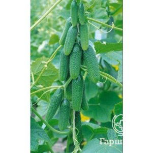 Огурец Обхрустишься F1 ц/п Уральский Дачник, Семена Марс