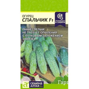 Огурец Спальчик F1 цп 5 шт Семена Алтая 130₽