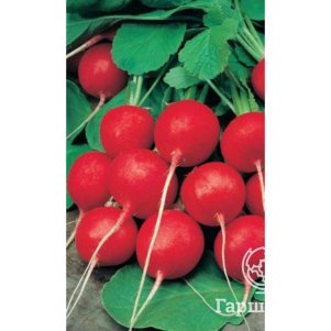 Редис Лешка F1 цп Уральский дачник Семена Марс 40₽