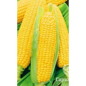 

Кукуруза Сахарный Гигант ц/п Уральский дачник 5 г, Семена Марс