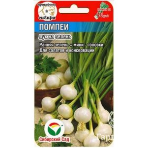 Лук на зелень Помпеи цп 05 г Семена Сибирский Сад 37₽