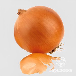 Лук Байрам репчатый цп Семена Седек 55₽