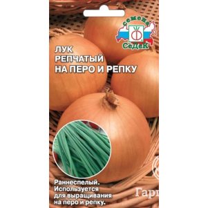Лук На перо и репку репчатый цп Семена Седек 40₽