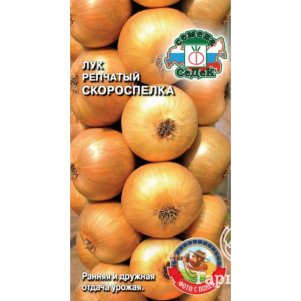 Лук Скороспелка репчатый цп Семена Седек 40₽