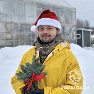 

Нобилис (букет из 3 веток пихты) малый 30см