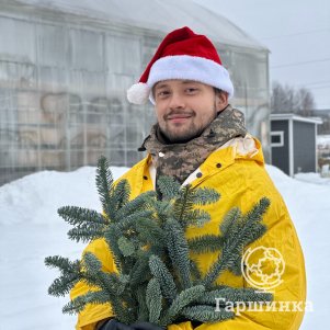 

Нобилис (букет из 3 веток пихты) средний 50см