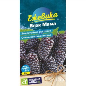 Ежевика Блэк Мама крупноплодная ц/п 0,03 г, Семена Алтая