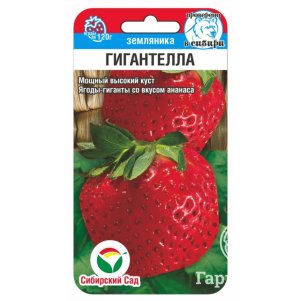 Земляника Гигантелла ц/п 10шт, Семена Сибирский Сад