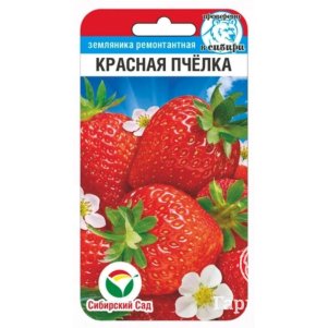 Земляника Красная пчелка 10шт Семена Сибирский Сад 57₽