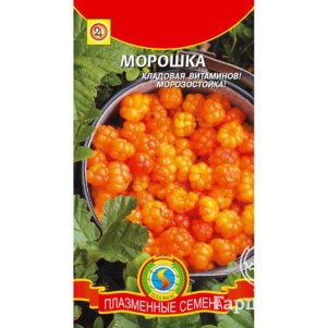 

Морошка ц/п 8 шт, Семена Плазмас