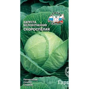 Капуста Скороспелая F1 белокочанная Семена Седек 43₽