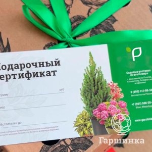 

Сертификат 500