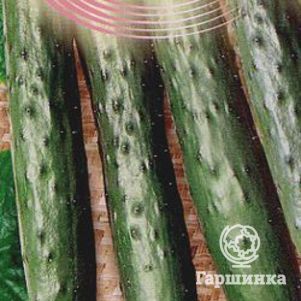 

Огурец Апрельский F1 ц/п 10 шт. Уд.с. Семена Гавриш