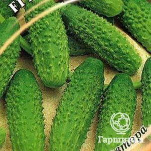 

Огурец Барабулька F1 10шт, Семена Гавриш