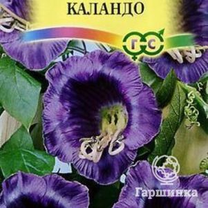 Кобея Каландо лазающая 5 шт Семена Гавриш 74₽