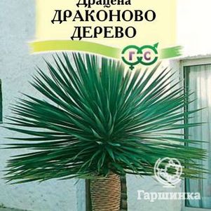 

Драцена Драконово Дерево 3 шт, Семена Гавриш